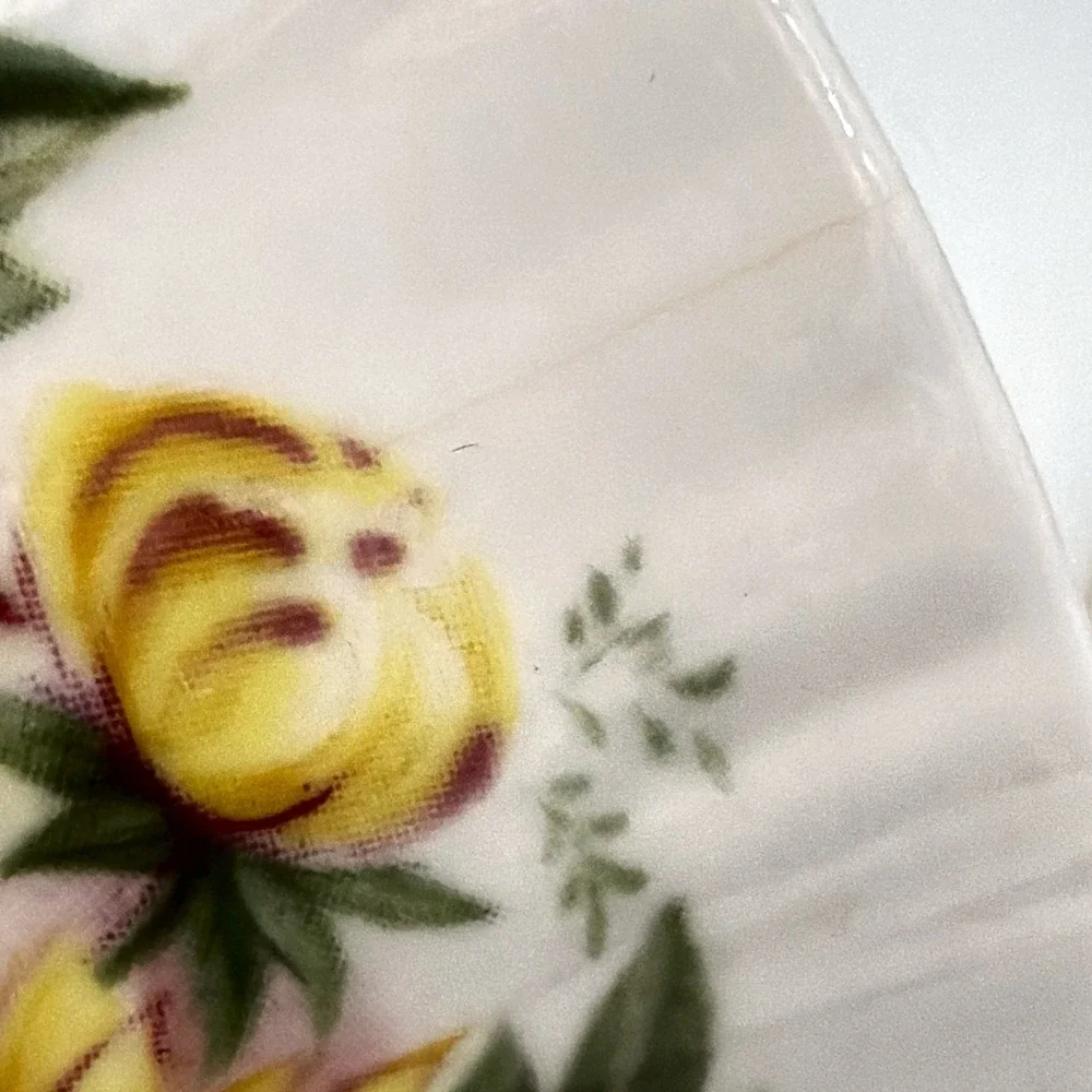 Vintage Queen's Rosina Wild Flowers fine bone china Tea cup with matching saucer